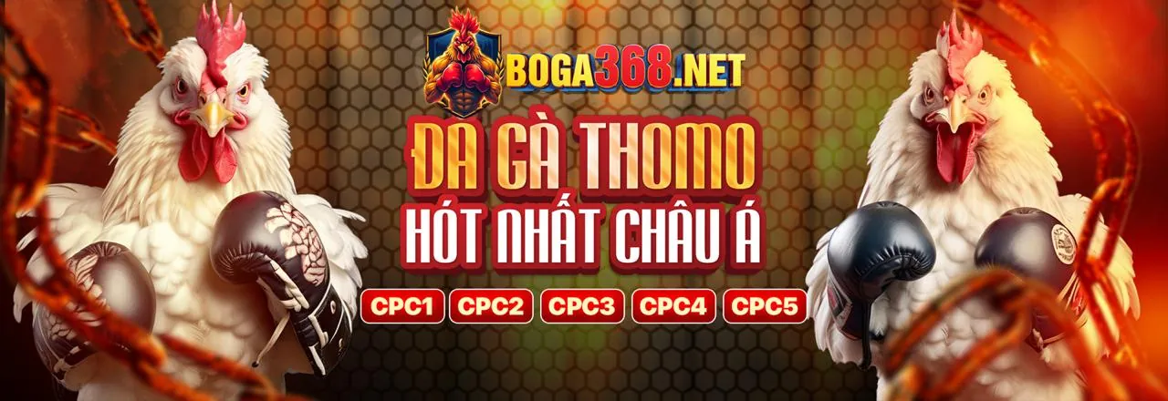 Khuyến mãi và thưởng độc quyền cho VIP VSBET
