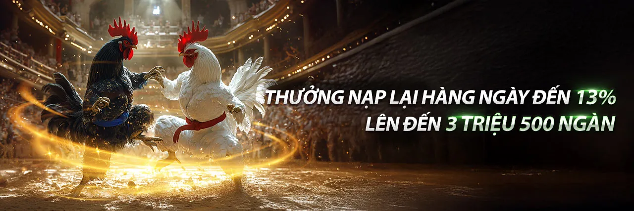 Đá Gà Thomo 13/6 - Trực tiếp các trận đấu đỉnh cao