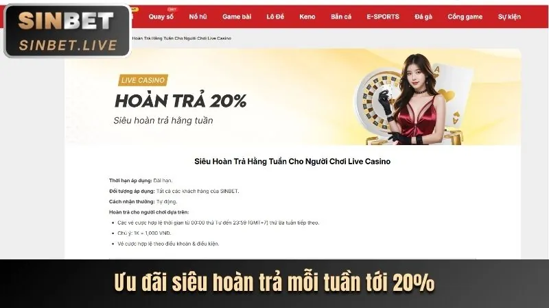 Tổng quan nền tảng cá cược VSBET